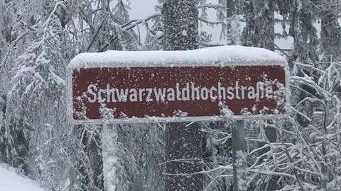 Die Schwarzwaldhochstraße im Schnee (Foto: SWR)