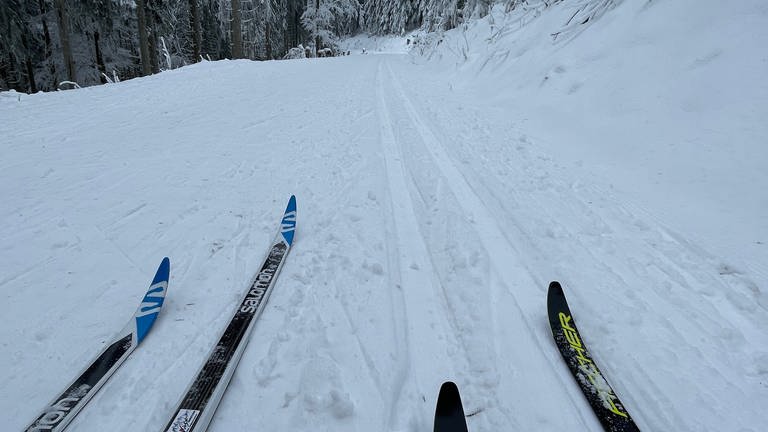 Langlaufskier auf der Schwarzkopfloipe am Seibelseckle (Foto: SWR, Susann Bühler)