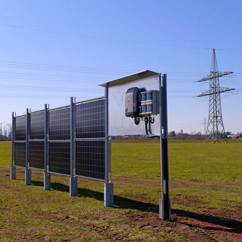 Testanlage für Agri-PV im Allgäu (Foto: IMAGO, imago)