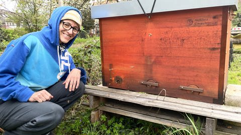 Jede Menge Bienen: Im Garten von der Expertin Katrin Sonnleitner aus Karlsruhe leben insgesamt sechs Bienenvölker. (Foto: SWR, Greta Hirsch)
