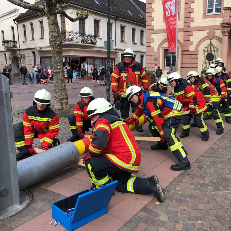 Maibaum stellen in Rastatt (Foto: SWR, Andreas Fauth)