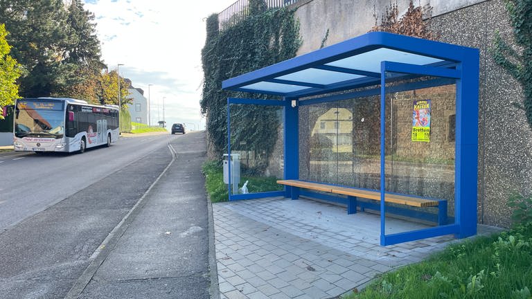 Die neue Brettener Bushaltestelle, an der kein Bus hält (Foto: SWR)