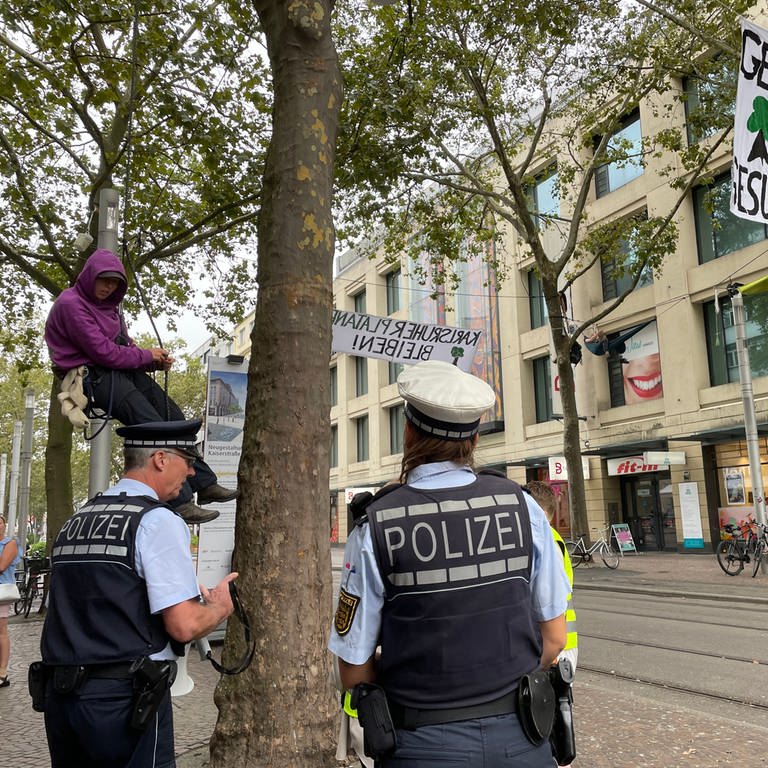 In der Innenstadt von Karlsruhe haben Klimaaktivisten die Platanen besetzt.  (Foto: SWR, Felix Wnuck)