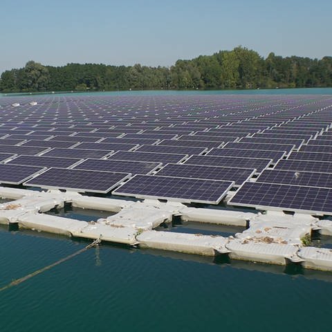 Anlage für Photovoltaik schwimmt auf Bojen in einem See in Rechnen bei Achern.  (Foto: SWR, SWR/Wolfgang Hörter)