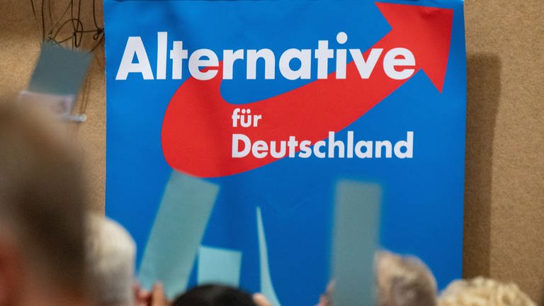Plakat der Partei AfD (Symbolbild) (Foto: picture-alliance / Reportdienste, picture alliance/dpa | Stefan Sauer)