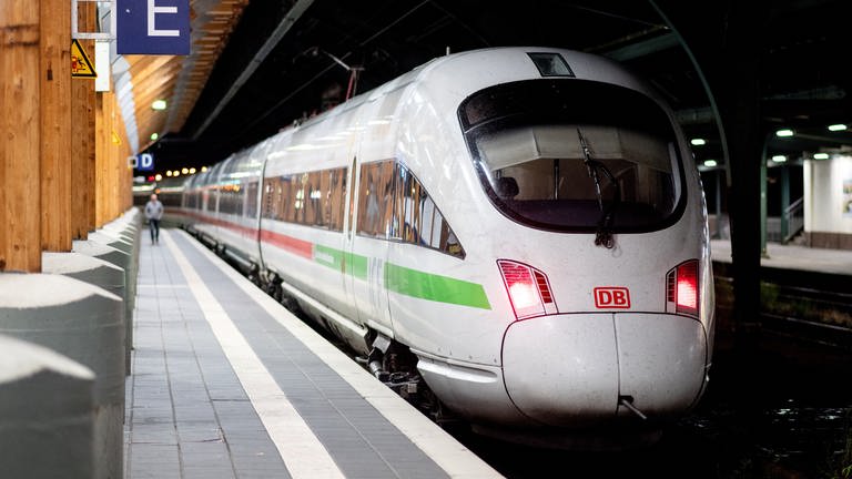 ICE verlässt den Karlsruher Hauptbahnhof (Foto: dpa Bildfunk, picture alliance/dpa | Hauke-Christian Dittrich (Symbolbild))