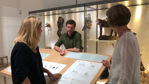 Der neue Direktor des Naturkundemuseum Karlsruhe spricht mit zwei Kolleginnen über die Weiterentwicklung des Museums. (Foto: SWR)