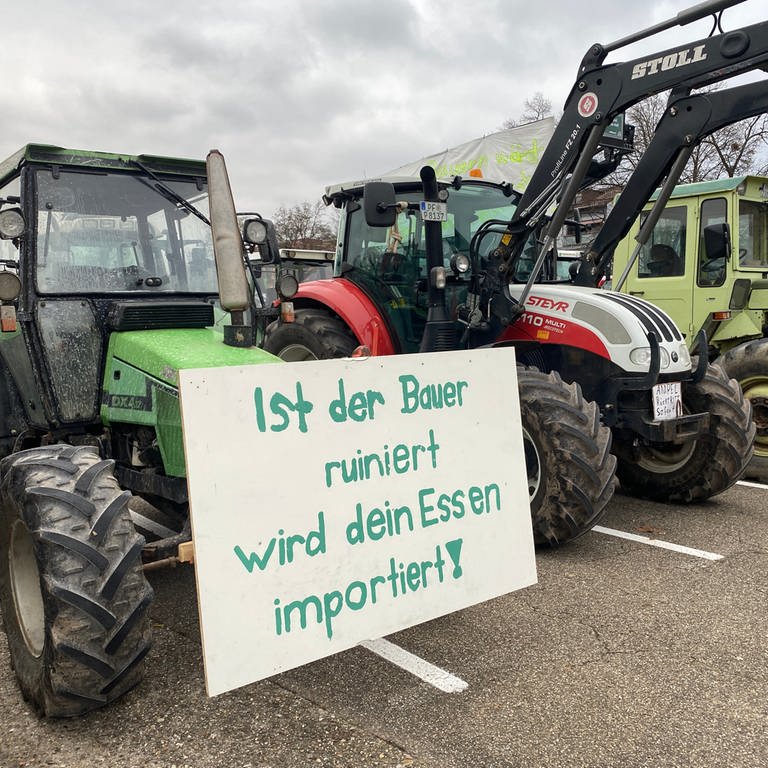 Demonstrierende Landwirte in Pforzheim (Foto: SWR, Peter Lauber)