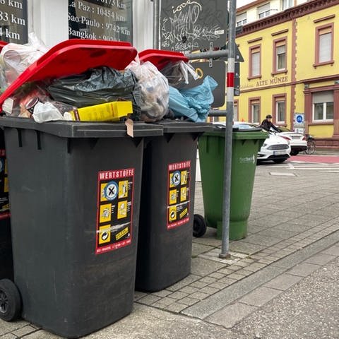 Wertstofftonnen in Karlsruhe: Die Mülltonnen sorgen in der Stadt für Streit (Foto: SWR)
