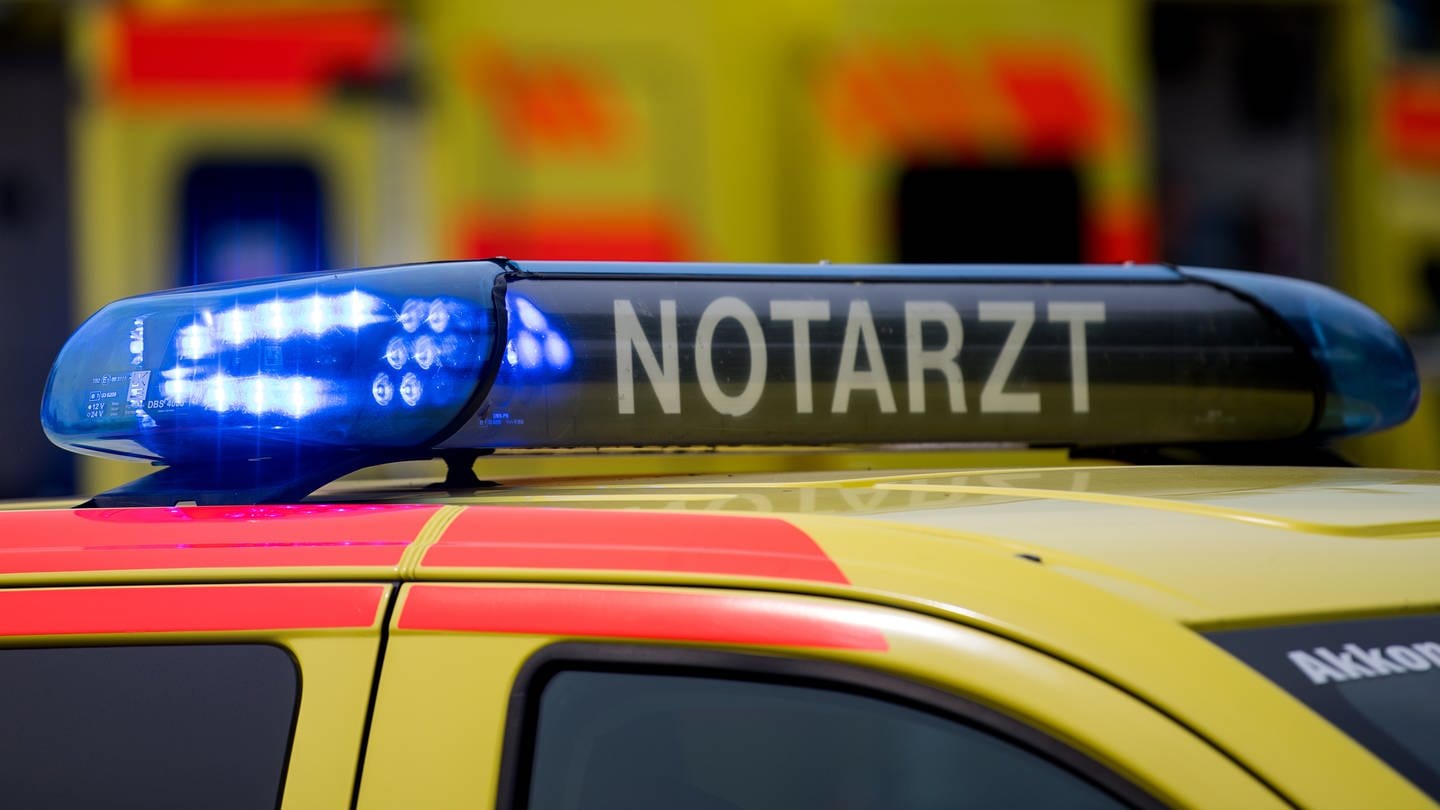 Ein zehnjähriger Junge ist in Bühl (Kreis Rastatt) von einem Hund schwer verletzt worden. Das Kind kam am Montag mit Bissverletzungen in ein Krankenhaus. (Foto: dpa Bildfunk, Picture Alliance (Symbolbild))