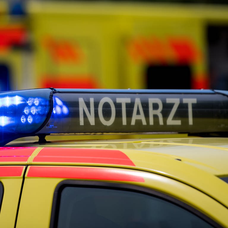 Ein zehnjähriger Junge ist in Bühl (Kreis Rastatt) von einem Hund schwer verletzt worden. Das Kind kam am Montag mit Bissverletzungen in ein Krankenhaus. (Foto: dpa Bildfunk, Picture Alliance (Symbolbild))