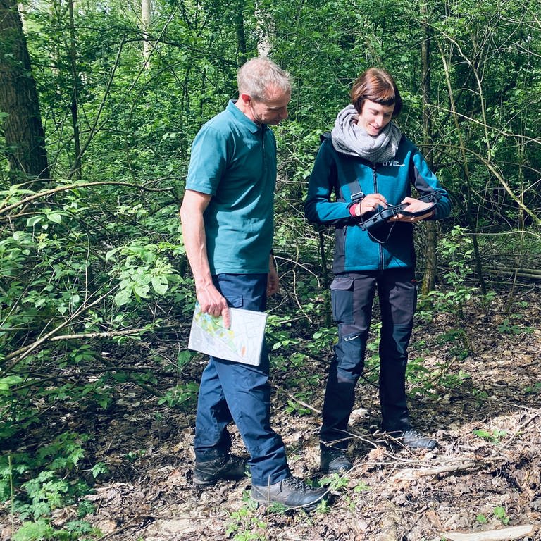 Revierförster Markus Rudolph und Forsteinrichterin Lisa Heistermann bei der Bestandsaufnahme im Gemeindewald von Sinzheim 