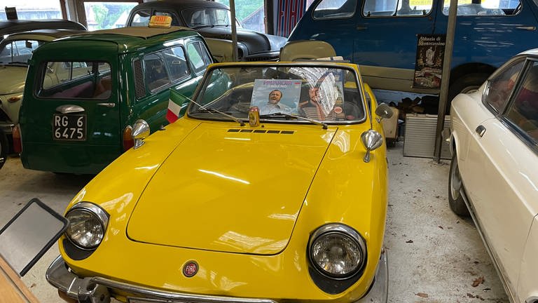 Skurrile Autos stehen in einem privaten Museum in Marxzell (Foto: SWR, Teo Jägersberg)