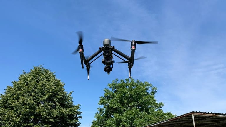 Per Drohne suchen die Jäger im Kreis Karlsruhe nach Rehkitzen in hohen Wiesen. (Foto: SWR)