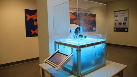 In einem Glaskasten liegt das Modell eines Sensor-Eis unter einer Wärmelampe. Vor dem Glaskasten ist ein Tablet montiert.  (Foto: Pressestelle, Maike Franzen/Zoo Karlsruhe)
