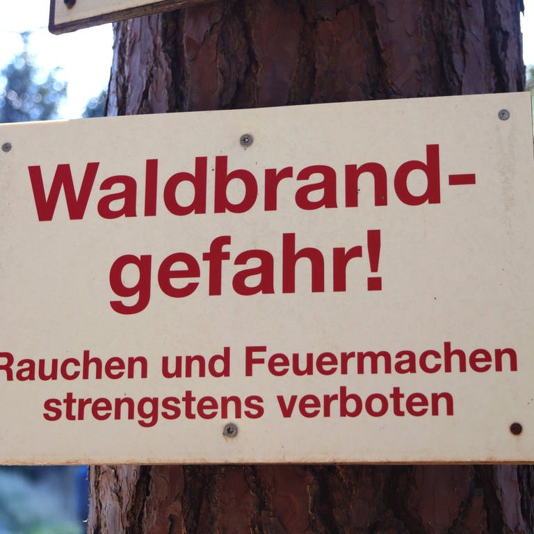 Waldbrandgefahr in den Kreisen Karlsruhe und Rastatt auf höchster Stufe (Foto: IMAGO, IMAGO/Ulrich Wagner; )