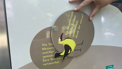Eine interaktive Tafel auf dem Auenerlebnispfad in Karlsruhe-Rappenwört (Foto: SWR)
