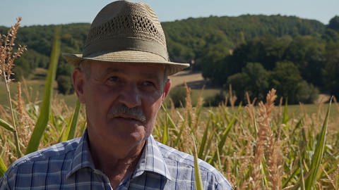 Werner Kunz ist Landwirt in Ubstadt-Weiher im Landkreis Karlsruhe (Foto: SWR)
