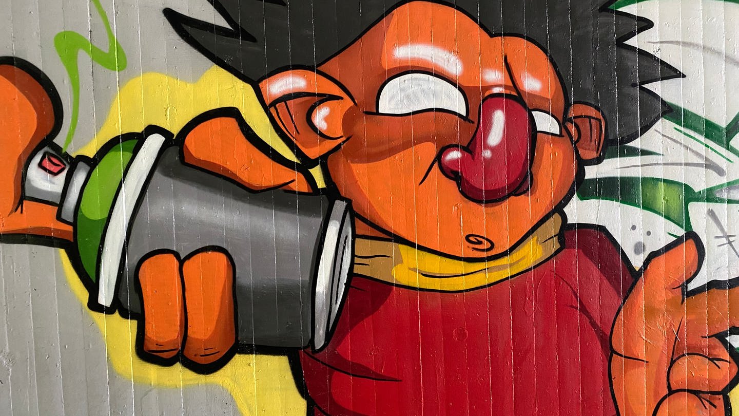 Graffitis in Karlsruhe rund um die Alb (Foto: SWR, Johannes Stier)