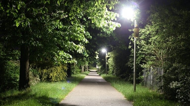 Dunkler Weg mit Grün drumherum - am Rande steht eine Straßenleuchte mit insektenfreundlicher LED Lampe in Karlsruhe (Foto: Pressestelle, Regierungspräsidium Karlsruhe)