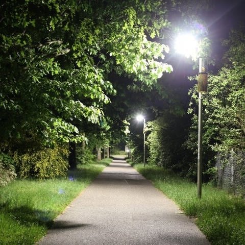 Dunkler Weg mit Grün drumherum - am Rande steht eine Straßenleuchte mit insektenfreundlicher LED Lampe in Karlsruhe (Foto: Pressestelle, Regierungspräsidium Karlsruhe)