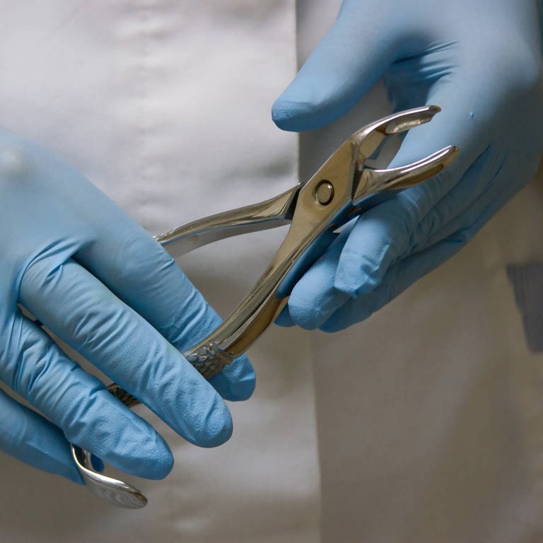 Nahaufnahme einer Zahnarzt-Zange, gehalten von zwei Händen, die in blauen, medizinischen Handschuhen stecken.