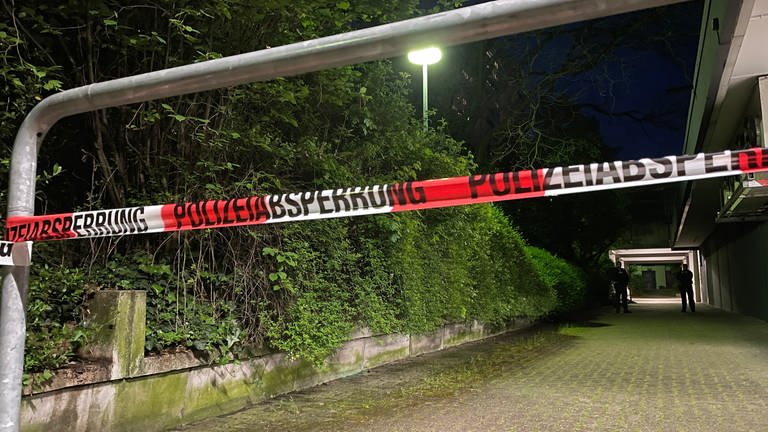 In Karlsruhe ist eine Frau von einem herabfallenden gegenstand tödlich verletzt worden (Foto: SWR)