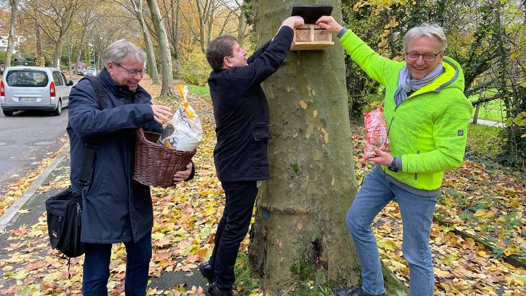 An einem Baum in Baden-Baden wird ein Futterkasten für Eichhörchen befestigt. (Foto: SWR, SWR, Patrick Neumann)