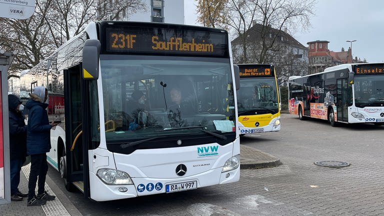 Grenzüberschreitende Buslinie ins Elsass eingeweiht (Foto: SWR)