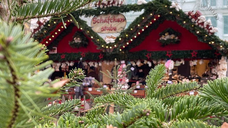 Buden, Würstchen, Riesenrad - Impressionen vom Karlsruher Weihnachtsmarkt (Foto: SWR, Leonie Allinger)