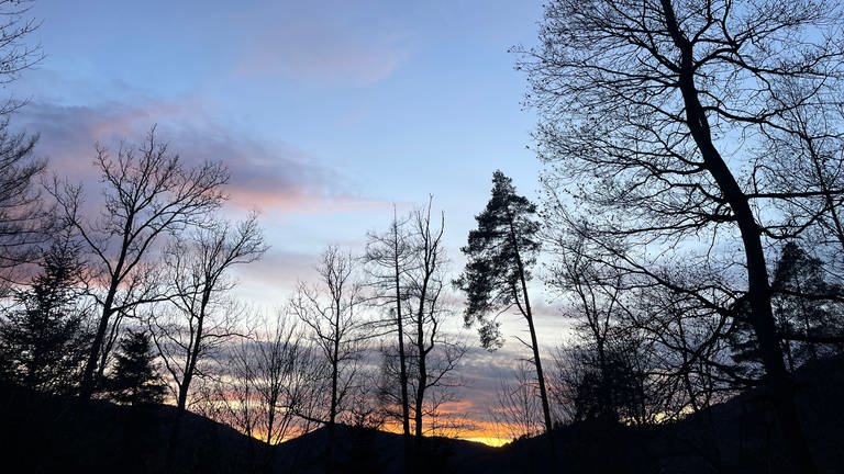Kurz vor Sonnenuntergang: Wanderung durch den Schwarzwald während der Zeit der mystischen Rauhnächte  (Foto: SWR, Hannah Radgen)