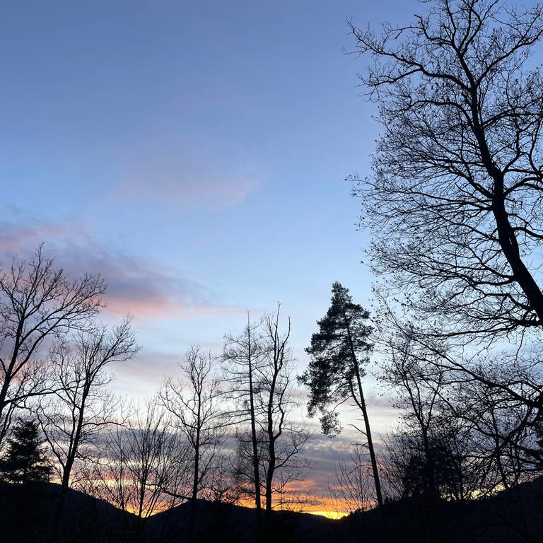 Kurz vor Sonnenuntergang: Wanderung durch den Schwarzwald während der Zeit der mystischen Rauhnächte  (Foto: SWR, Hannah Radgen)