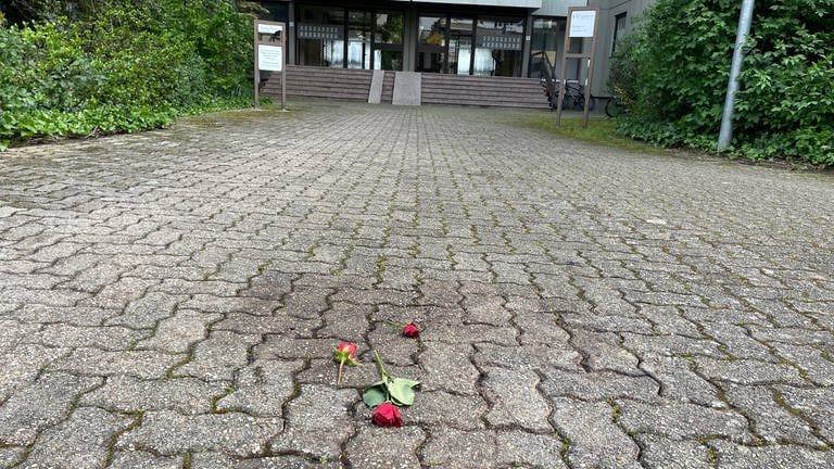 Frau in Karlsruhe stirbt nachdem sie von Gaskartusche getroffen wurde