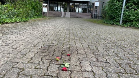 Frau in Karlsruhe stirbt nachdem sie von Gaskartusche getroffen wurde (Foto: SWR)