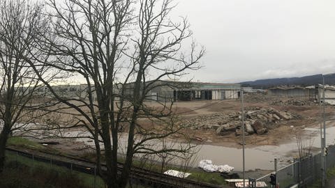Blich von schräg oben auf das ehemalige Gelände von Kronospan in Bischweier. Teile der Hallen sind bereits abgerissen. (Foto: SWR)