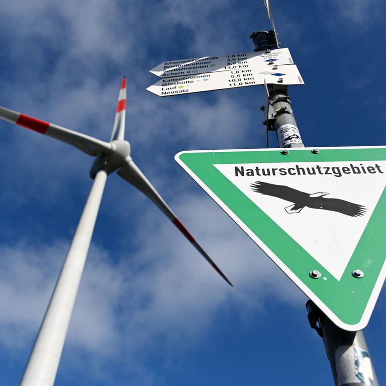 Windkraftanlage auf der Hornisgrinde (Foto: picture-alliance / Reportdienste, dpa Bildfunk, Picture Alliance/Picture Alliance)