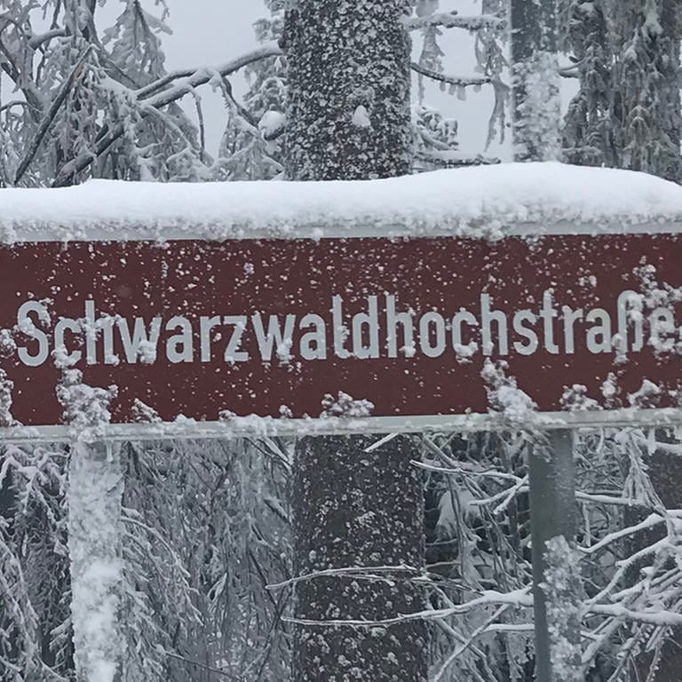 Die Schwarzwaldhochstraße im Schnee (Foto: SWR)