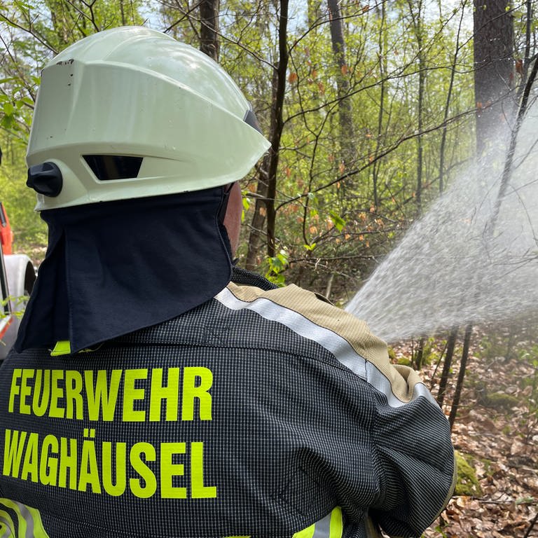 Waldbrandübung der Feuerwehr bei Kronau (Foto: SWR)