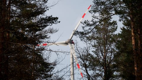 Ein Windrad dreht sich über den Baumwipfeln. Im Schwarzwald und in der Rheinebene gibt es viele neue Pläne für Windkraft (Foto: picture alliance/dpa | Daniel Vogl)