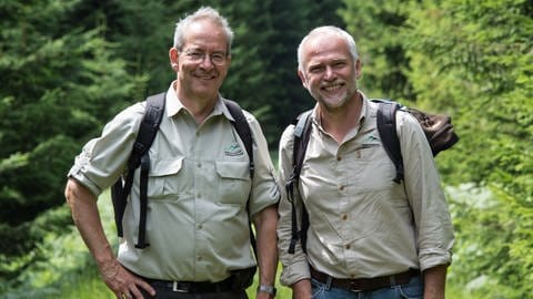 Die Nationalparkdirektoren Thomas Waldenspuhl und Wolfgang Schlund im Nationalpark Schwarzwald bei Seebach