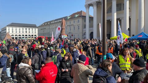 Klima-Demonstration in Karlsruhe (Foto: SWR)