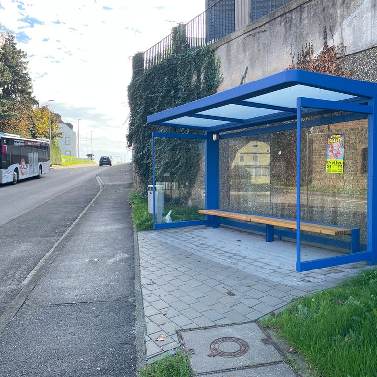 Die neue Brettener Bushaltestelle, an der kein Bus hält