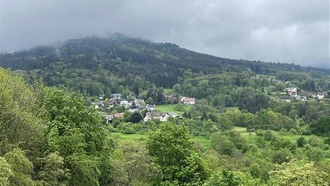 Bewaldeter Berg im Schwarzwald: Der Naturpark Schwarzwald bietet eine Inklusions-Schulung für seine Guides an (Foto: SWR)