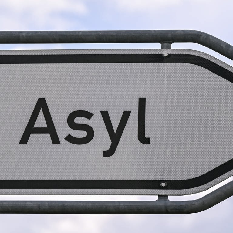 Schild "Asyl" (Foto: picture-alliance / Reportdienste, picture alliance/dpa | Patrick Pleul)