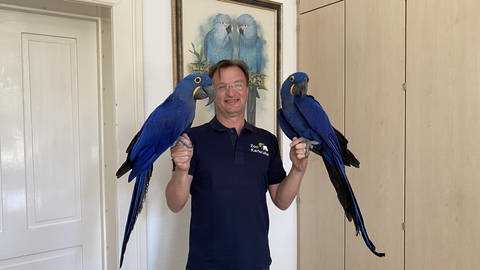 Zoodirektor Matthias Reinschmidt mit seinen Hyazinth-Aras