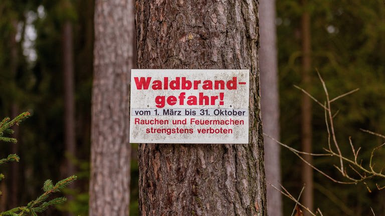 Waldbrandgefahr in Karlsruhe: Vorsicht geboten!