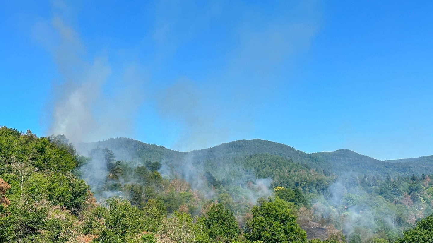 Feuer ausgebrochen: Flächenbrand in einem Waldgebiet in Gaggenau (Foto: Henry Mungenast / EinsatzReport24)