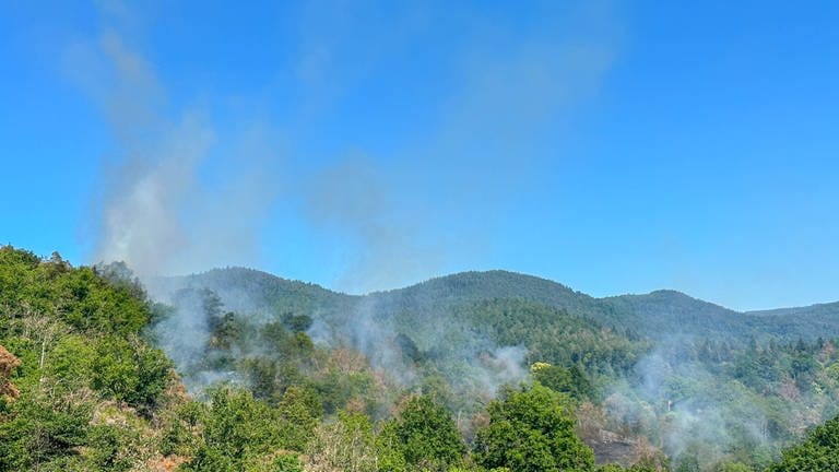 Feuer ausgebrochen: Flächenbrand in einem Waldgebiet in Gaggenau