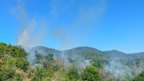 Feuer ausgebrochen: Flächenbrand in einem Waldgebiet in Gaggenau