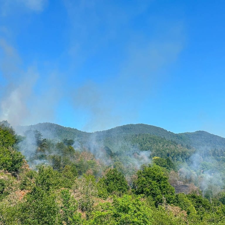 Feuer ausgebrochen: Flächenbrand in einem Waldgebiet in Gaggenau (Foto: Henry Mungenast / EinsatzReport24)